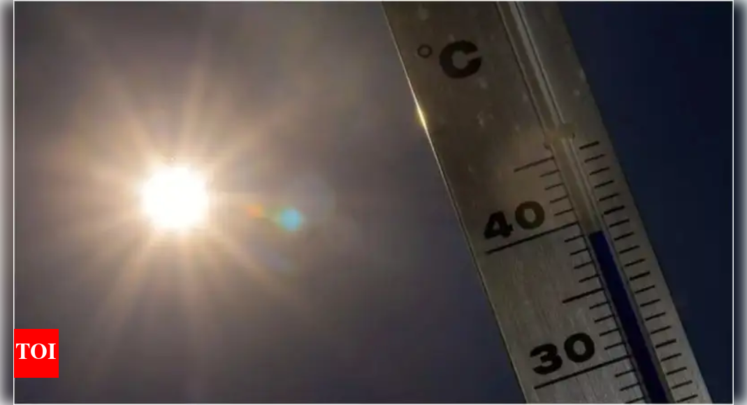 UAE hits record May temperature of 51.6C |
