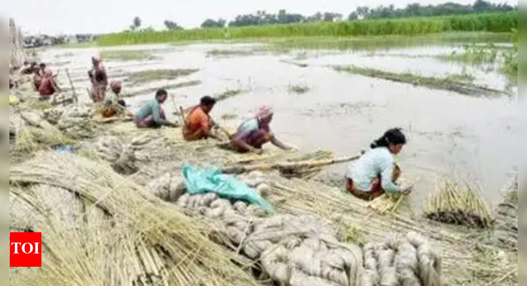 Jute industry eyes June 3 ECJ meet for relief amid supply crunch and soaring prices