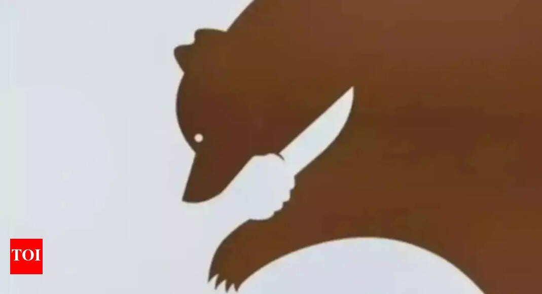 Optical illusion personality test: Bear or knife? What you see first reveals if you are loyal or just faking love |