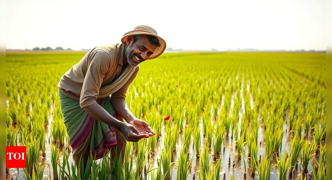 Cabinet hikes MSP for 14 kharif crops for marketing season 2025-26