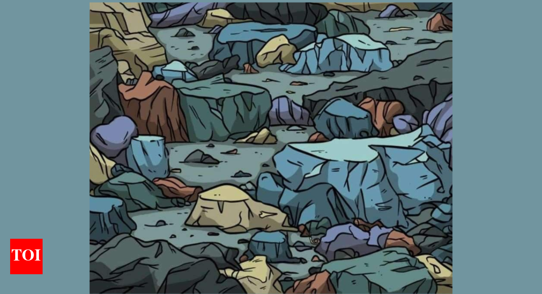 Optical Illusion: One snail is hiding among the rocks; can you spot it? |