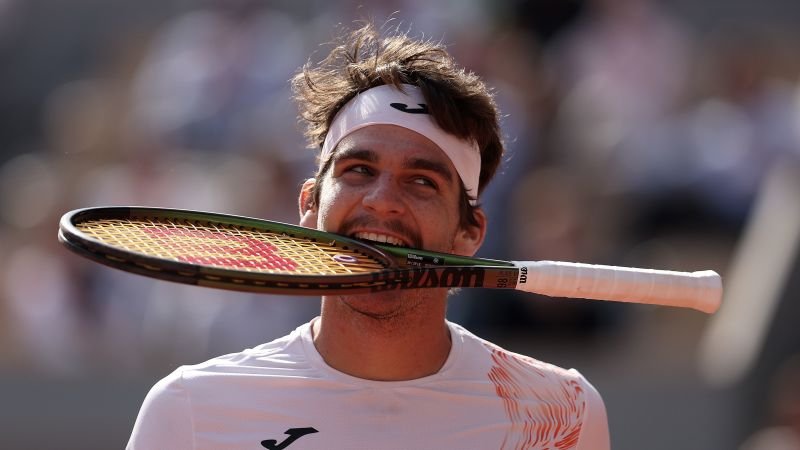 Thiago Seyboth Wild stuns Daniil Medvedev in French Open upset