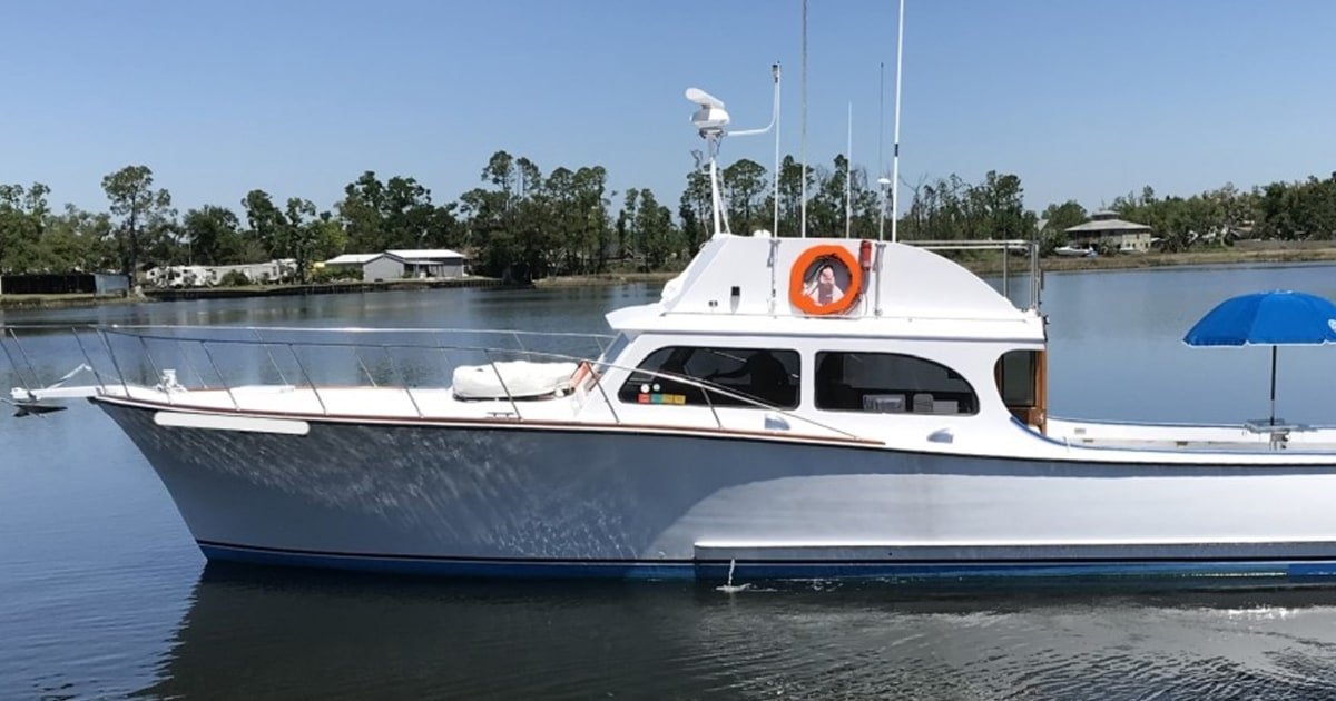 Florida man who shot and poisoned dolphins sentenced to 1 month
