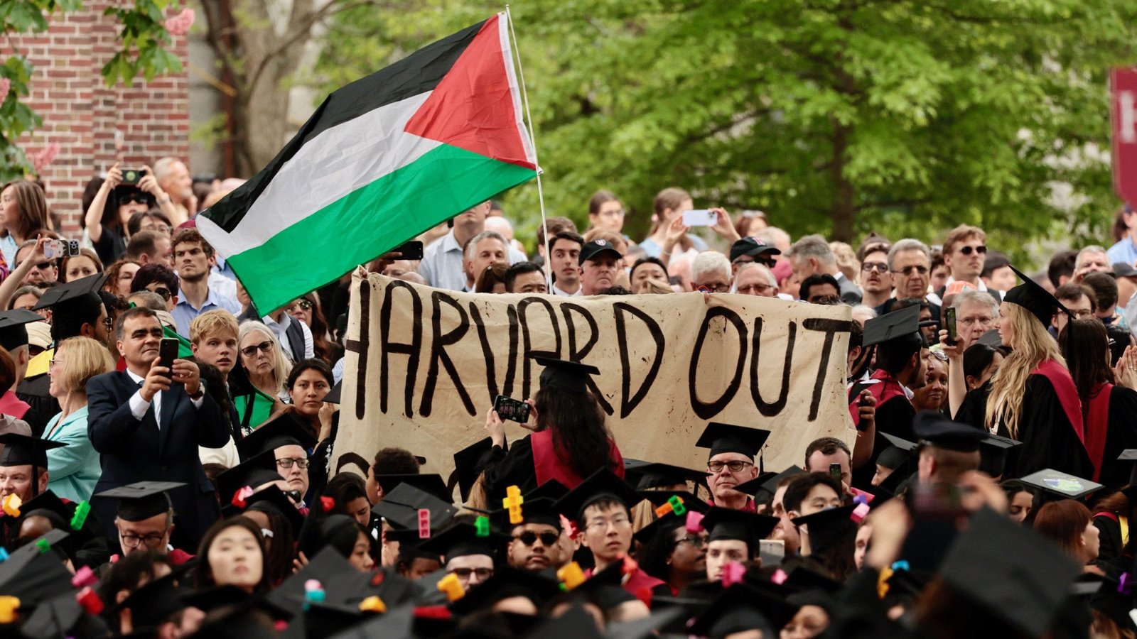 Harvard alum slams university feuds with Trump rather than ending antisemitism