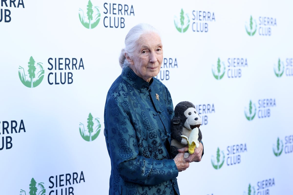 Jane Goodall, 91, reveals secret wish about first marriage to Hugo van Lawick