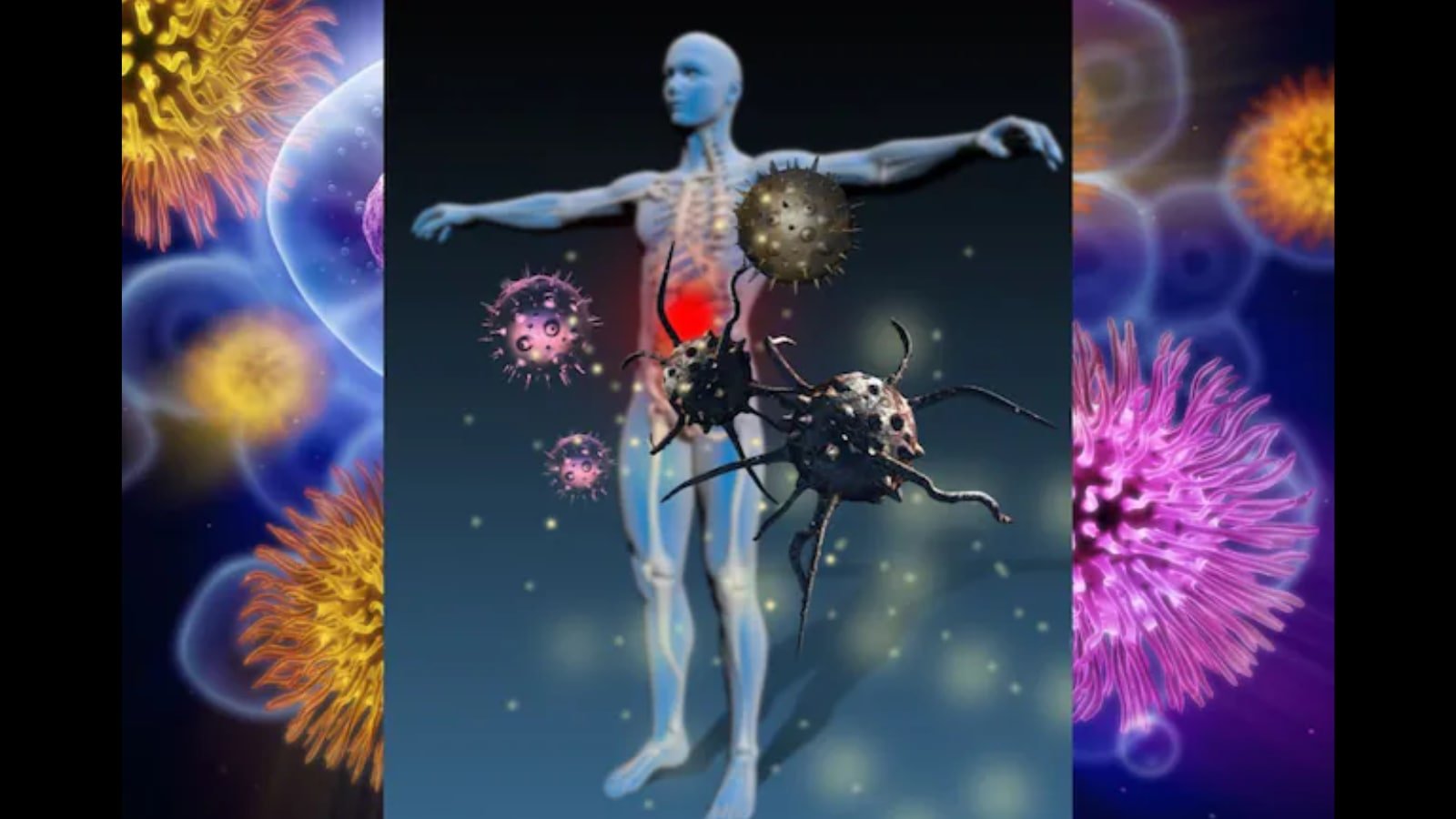 Why Doesn’t The Immune System Attack Food? Israeli Scientists Have Found The Answer