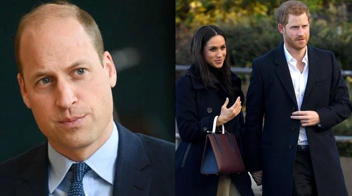 Prince William, Harry's relationship dead forever?