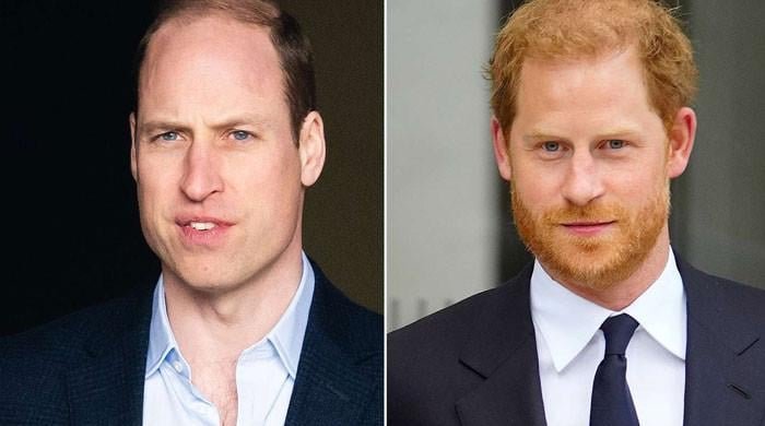 Prince Harry compared to ‘non-elitist' Prince William and Kate Mdidleton