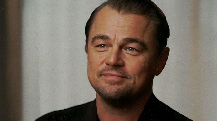 Leonardo DiCaprio's plans for his professional future take a turn