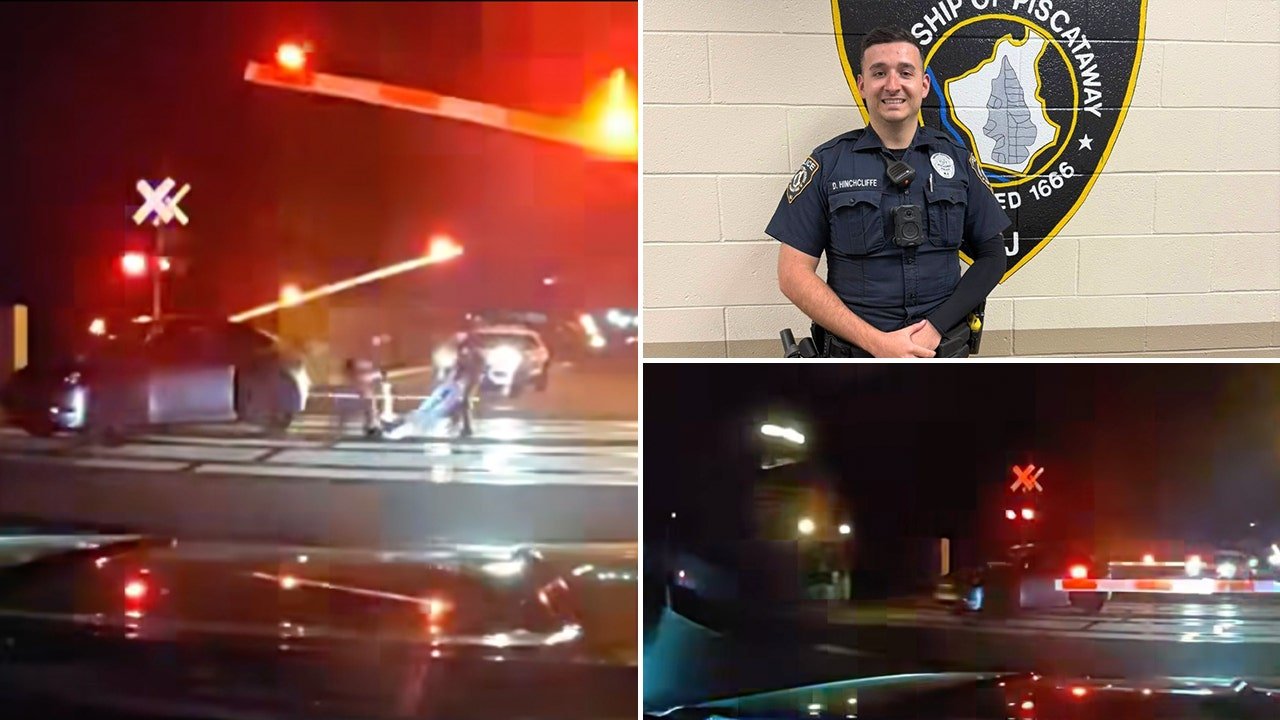 Wild video shows cops pull dazed driver from car seconds before train smashes it
