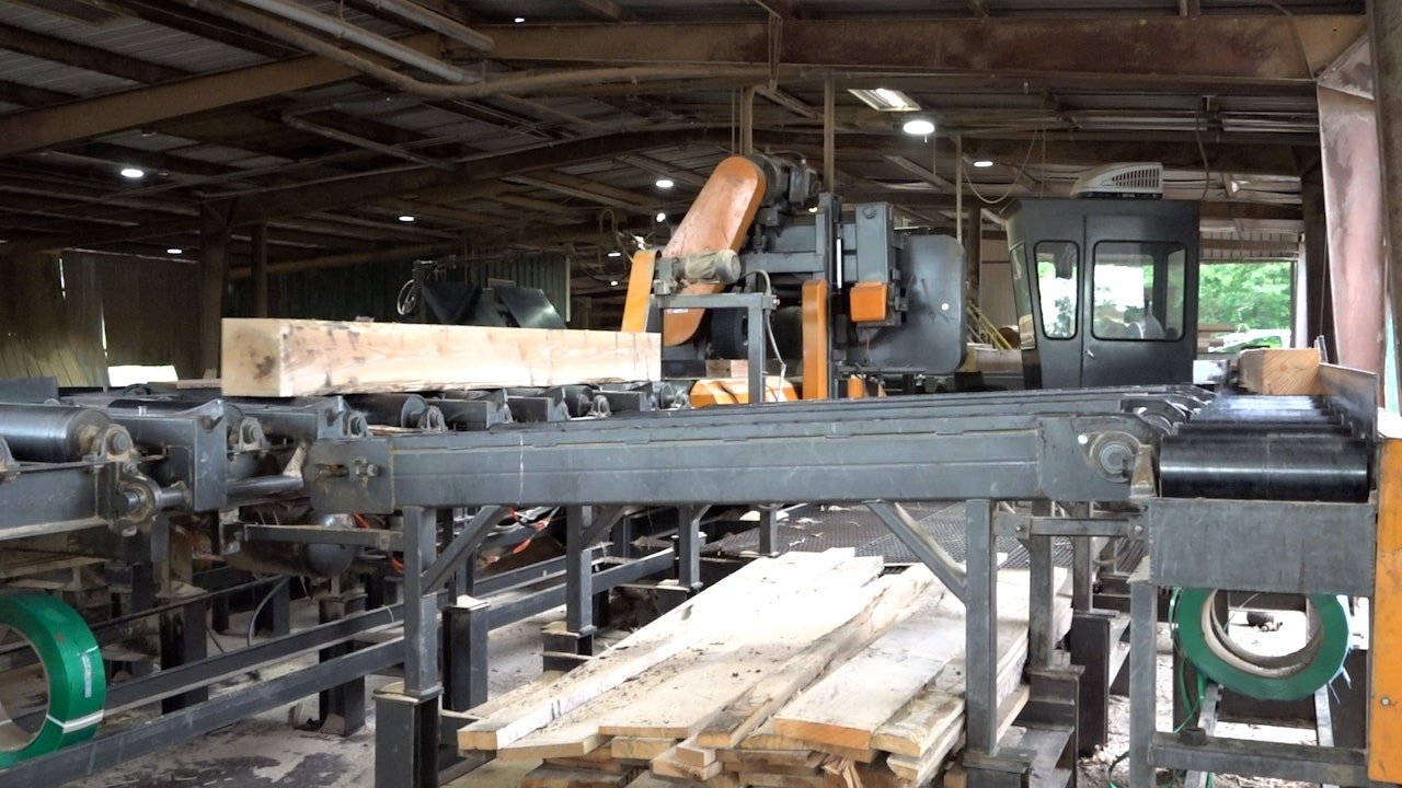 Sawmills recycle Hurricane Helene debris, reducing wildfire threat