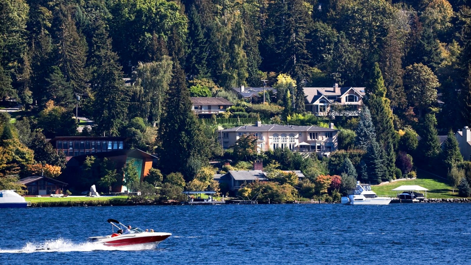 The U.S. added a thousand new millionaires a day in 2024: Report
