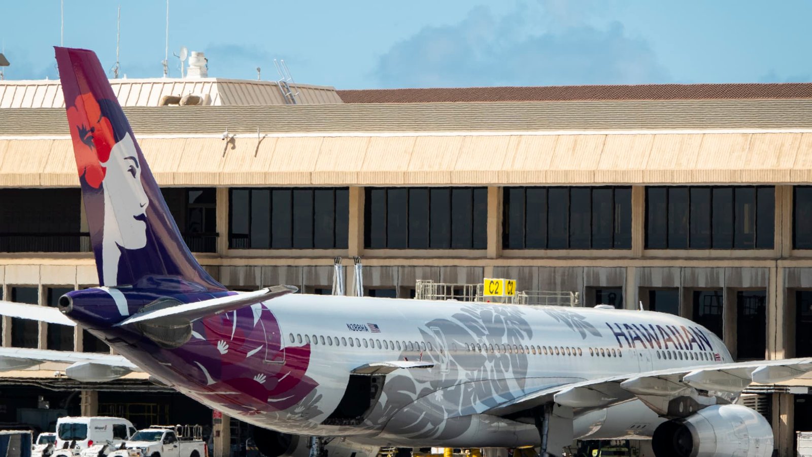 Westjet and Hawaii Airlines targeted by cyberattacks