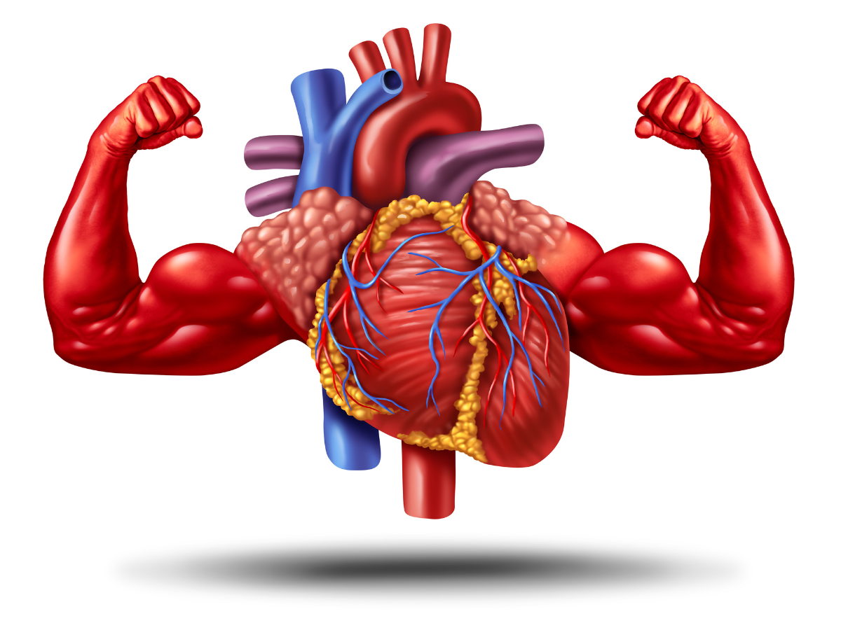 5 foods that are excellent for the heart