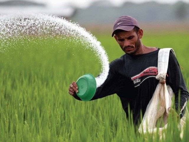 Fertiliser firms fined for price fixing