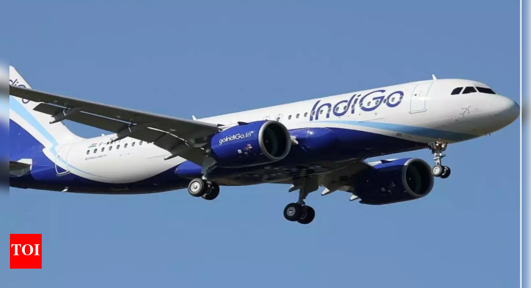 IndiGo doubles wide-body aircraft order