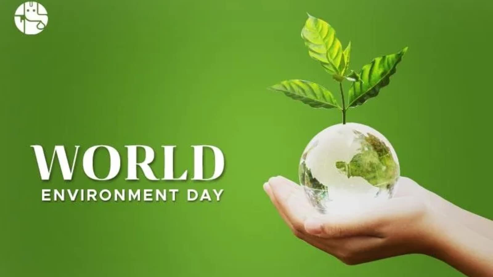 World Environment Day 2025: Sustainable Brands That Redefine Daily Living