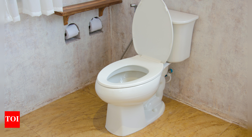 What is the best time to poop as per experts and why |