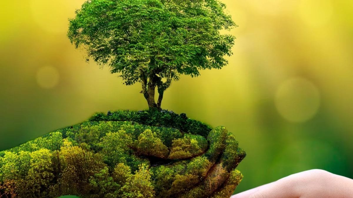 Circular Goals, Lasting Impact: How Businesses Are Building a Sustainable Tomorrow