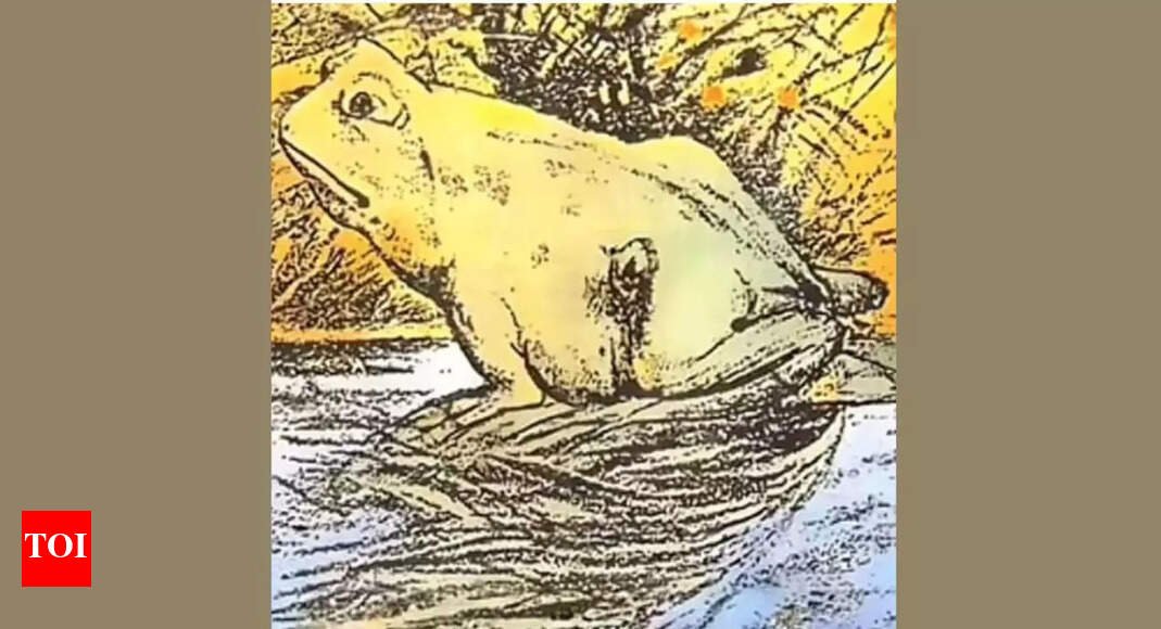 Optical illusion personality test: Horse or frog? What you spot first reveals if you are happy about the future or sad about the past