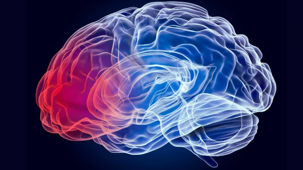 Can Your Workout Lower the Risk of Brain Tumors? Science Says Yes