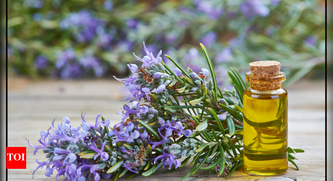 Does Rosemary aroma really improve memory? Here’s what research says |