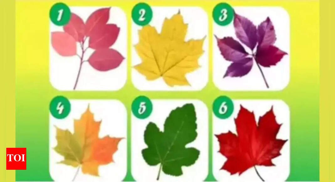 Personality Test: Pick a leaf and discover the unique reason people rely on you |