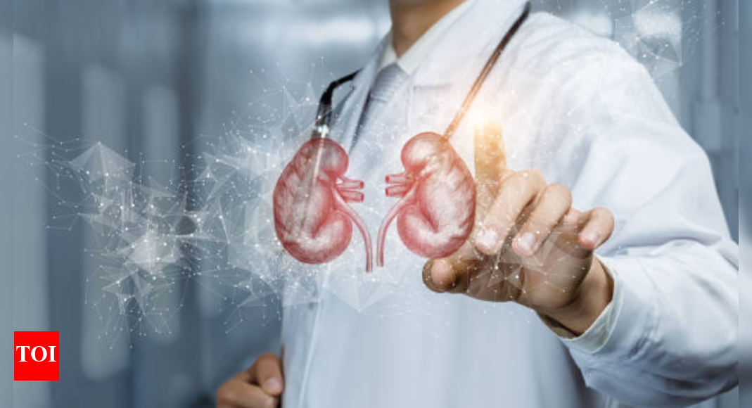 Can creatine damage your kidneys? Myths, facts, and what you need to watch out for