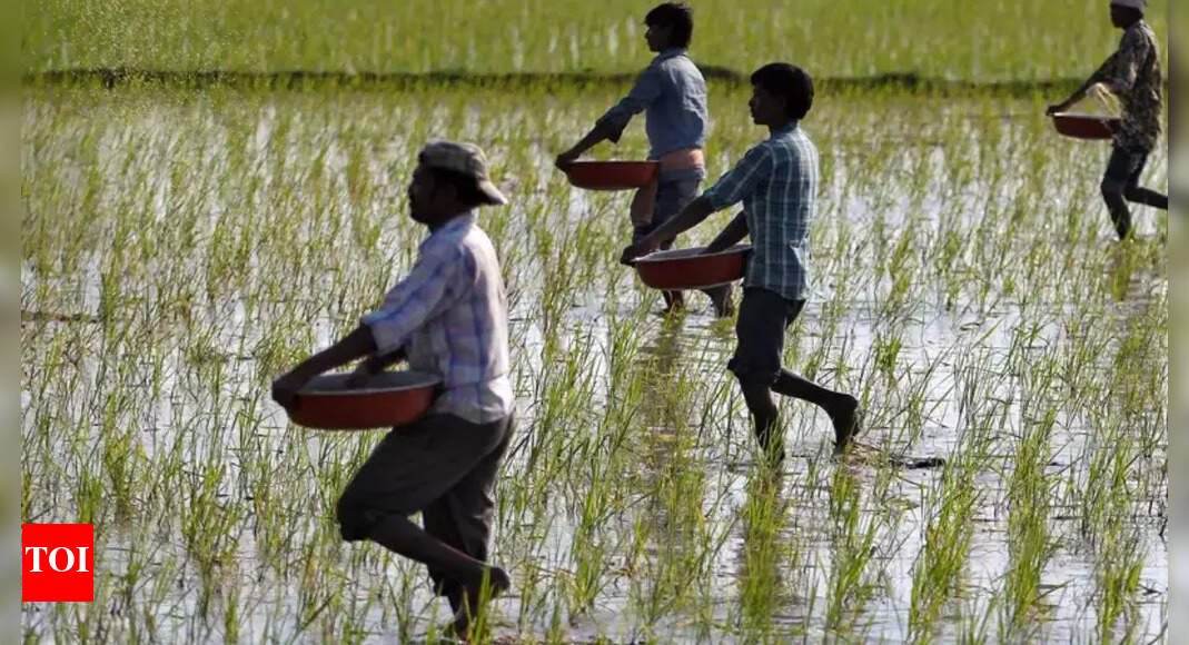PM-Kisan 20th instalment: When is the next payment date; check beneficiary status