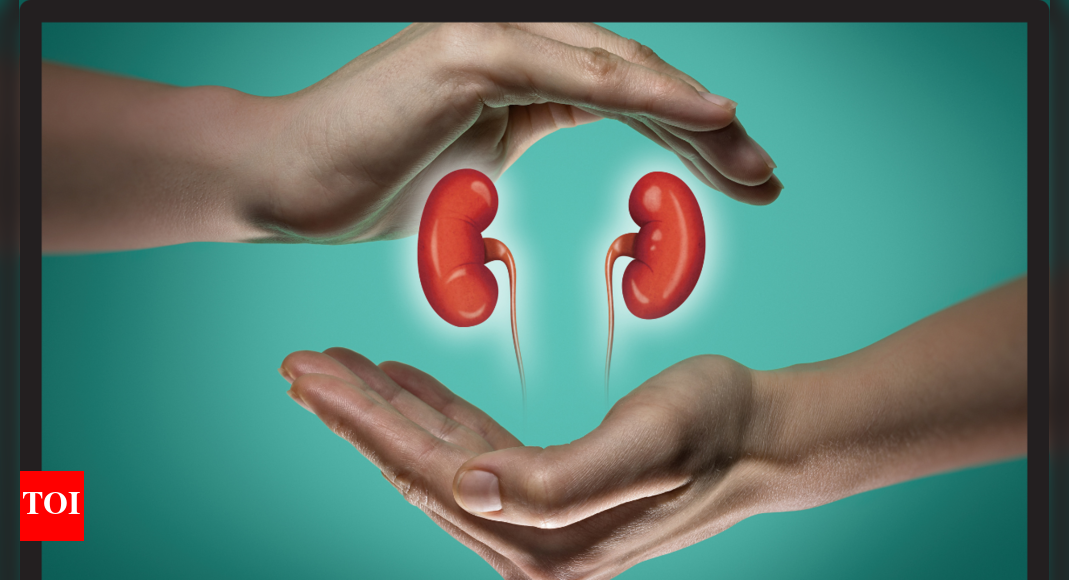 Kidney stress often starts with these 5 silent signals and what to do about them