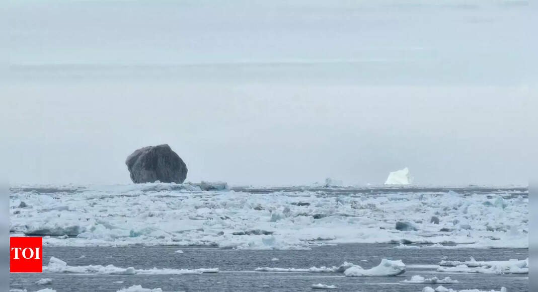 Rare black iceberg spotted in Canada stuns scientists with its mysterious dark hue |