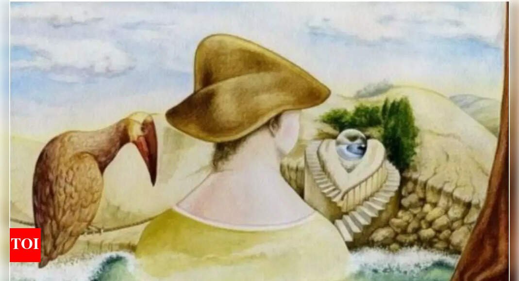Optical illusion personality test: A woman and bird or a face? What you spot first reveals if you prioritise love or career