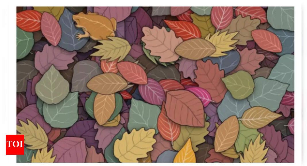 Optical illusion: Think you have sharp eyesight? Spot the frog in this picture in under 5 seconds!