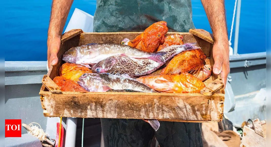 Fish endure intense pain up to 24 minutes when killed, study reveals |