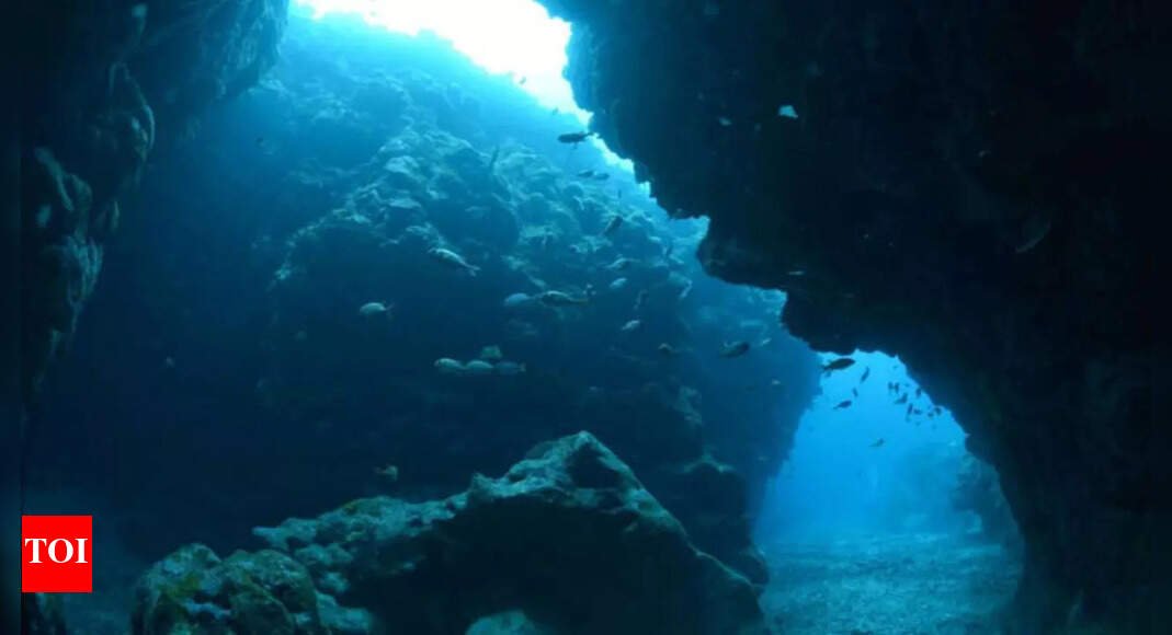 Unique, rare Earth elements unveiled on an underwater island; here’s what it means for the future |