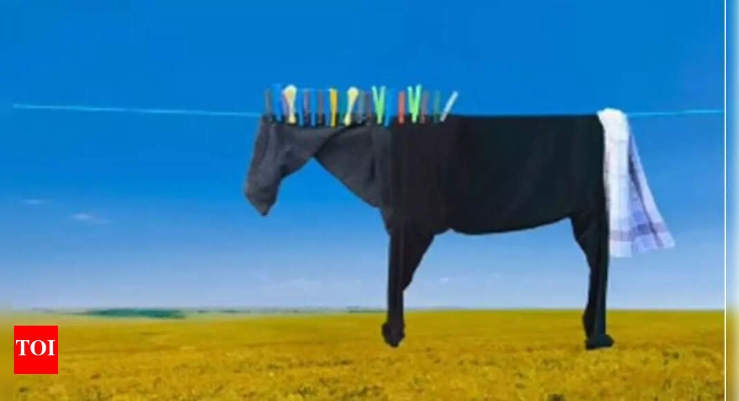 Optical Illusion Personality Test: Horse or clothes? What you spot first reveals if you are carefree or too careful |