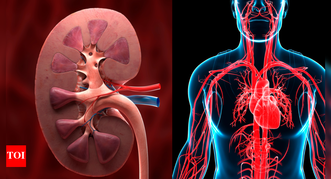 How kidney disease can raise the risk of a heart attack