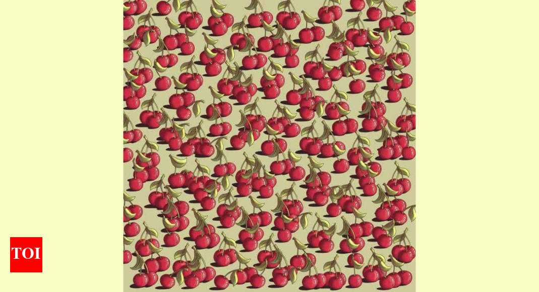 Optical Illusion: Only the one with the sharpest eyes can spot the tomato among cherries |
