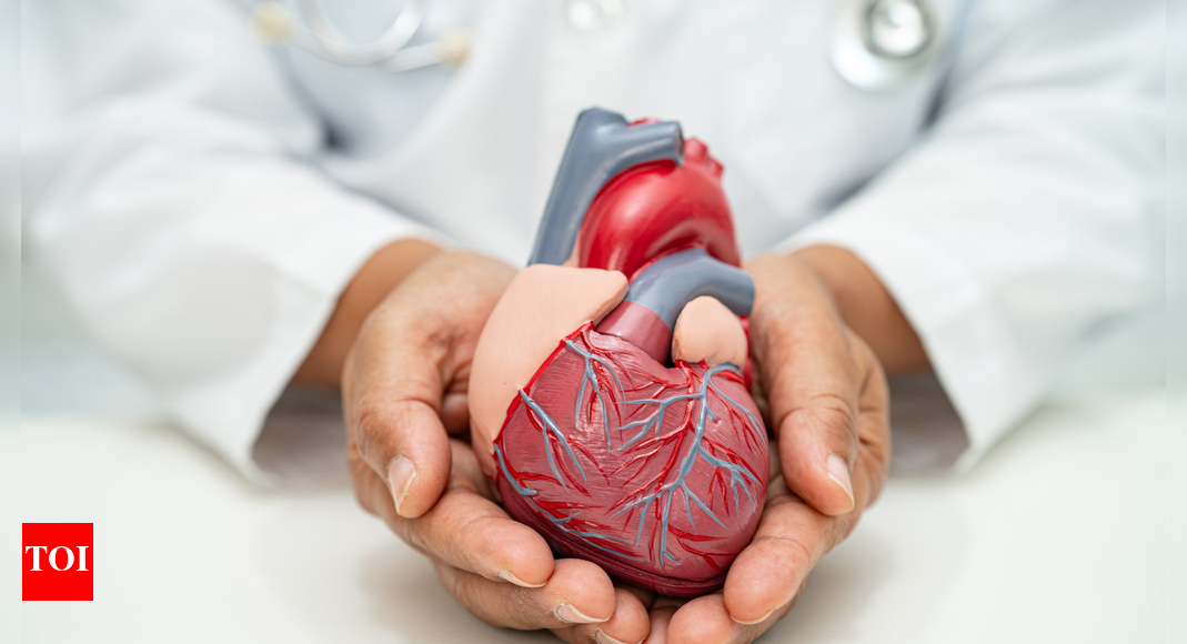 4 everyday habits that help prevent heart attacks