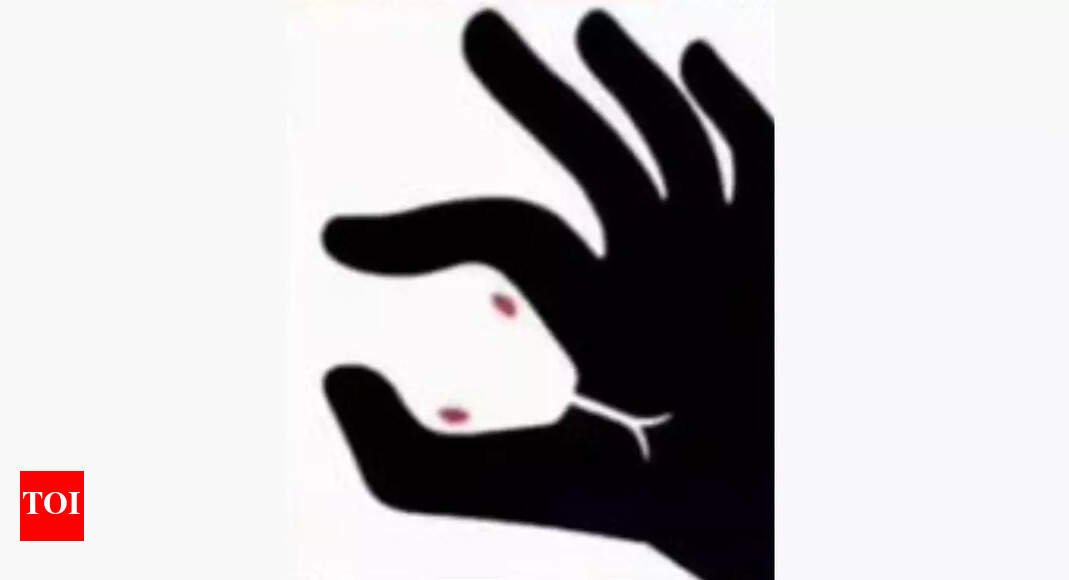 Optical illusion personality test: Snake or hand? What you see first reveals if you are kind-hearted or seek revenge |