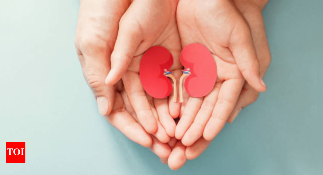Kidney Health: Can gaining even 3-4 kgs of weight increase our risk of kidney disease? How to prevent it |