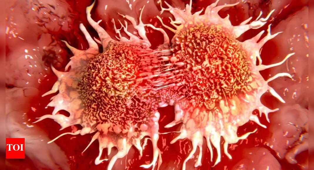 A game-changer in cancer research? South Korean scientists reprogram tumour cells without chemotherapy or radiation |