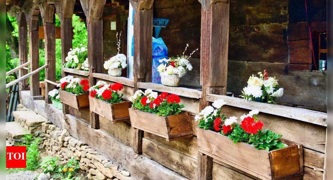 10 creative planter ideas to add a unique touch to your garden |