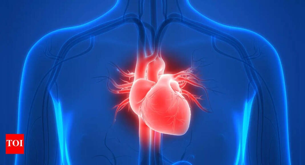 4 things US based famous cardiac surgeon says he completely avoids to prevent heart attacks |