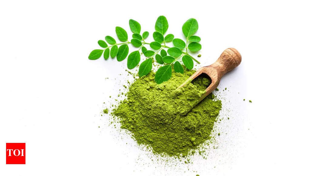 8 reasons to have a spoonful of moringa powder for breakfast |