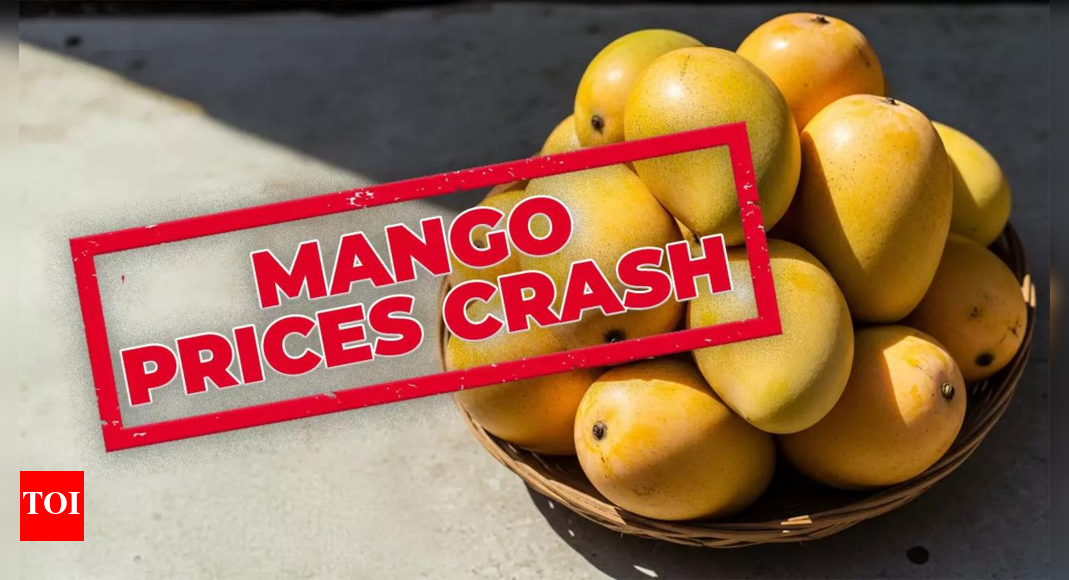 Centre-state mango relief: Karnataka farmers to be paid for price decline on 2.5 lakh tonnes; mango price fall prompts joint compensation plan