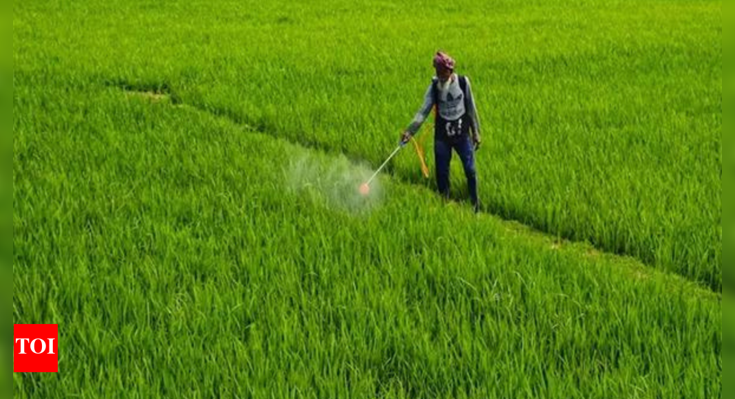 Agrochem market may hit $14.5 bn by FY28; herbicide exports jump; sector set for 9% CAGR: Report