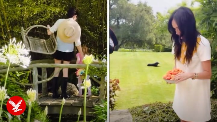 Rare glimpse of Princess Lilibet in Meghan