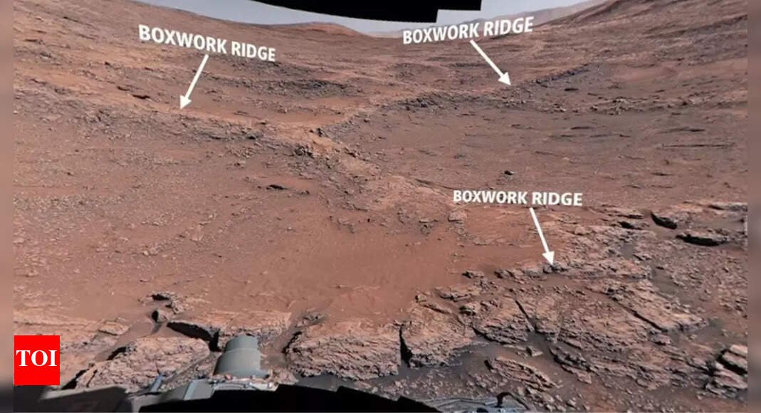 NASA’s Mars rover captures first close-up of bizarre 'spiderwebs' on the Red Planet |