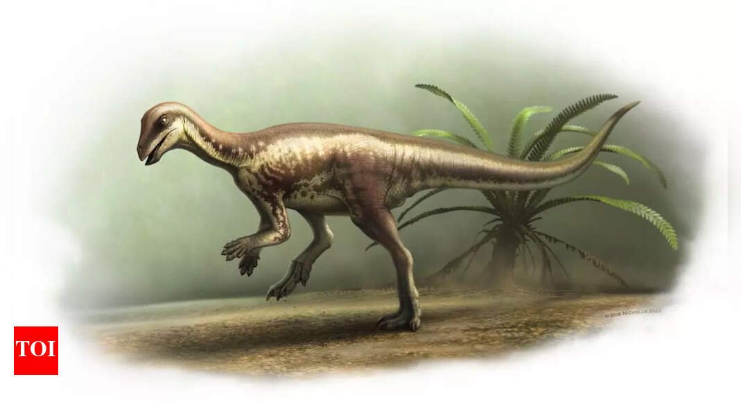 Dog-sized dinosaur fossil that roamed among giants, discovered by scientists |